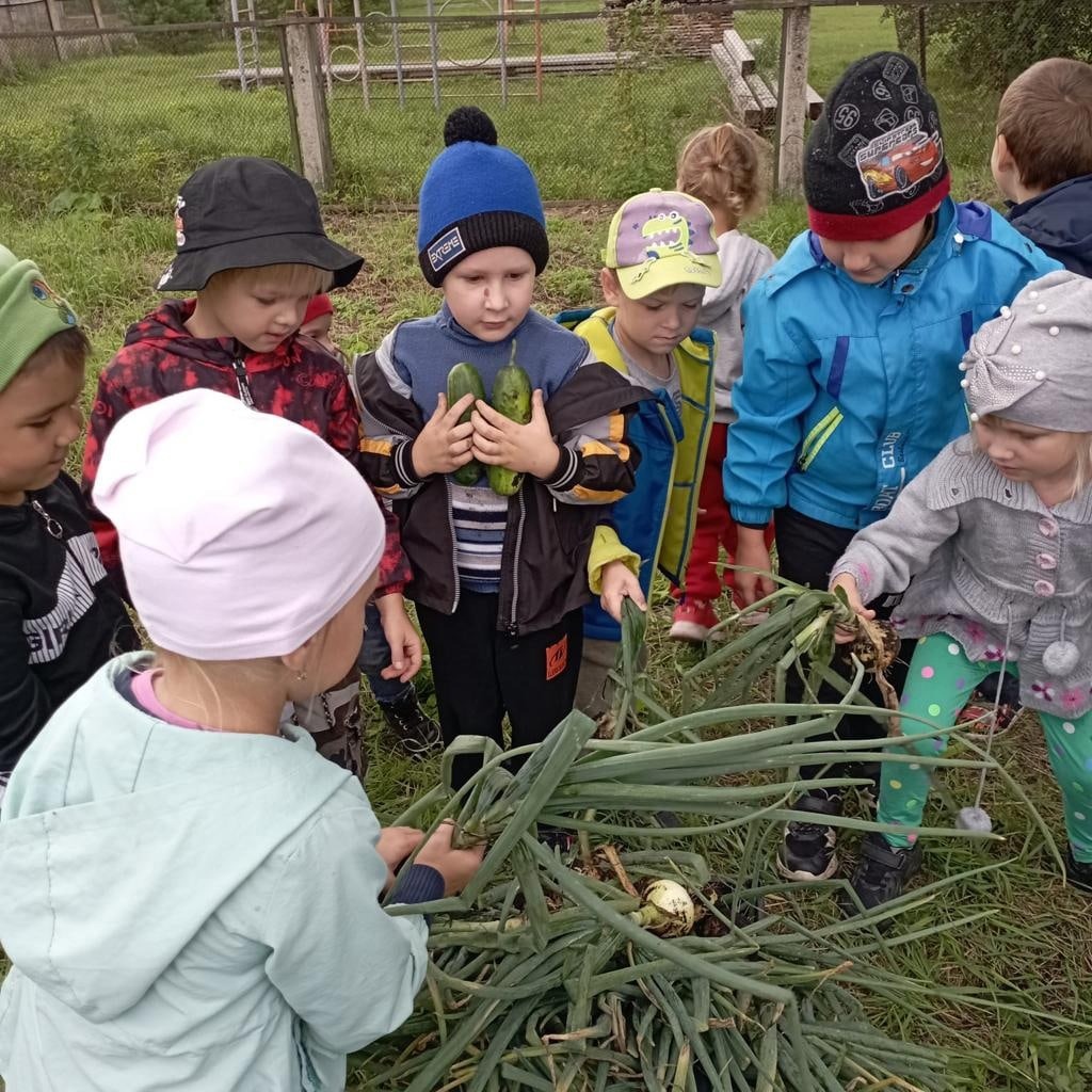 Урожай мы собираем, лето провожаем.